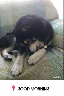 ���߂�Ȃ���