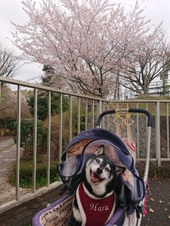 ̏tʐM