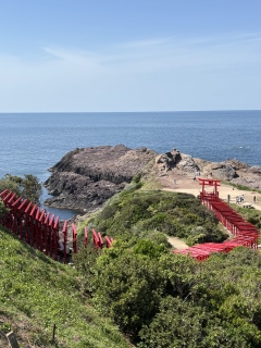 O芐I