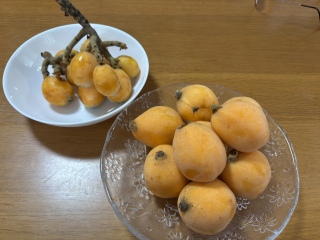 ̂ꂱ