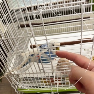 ͂悧